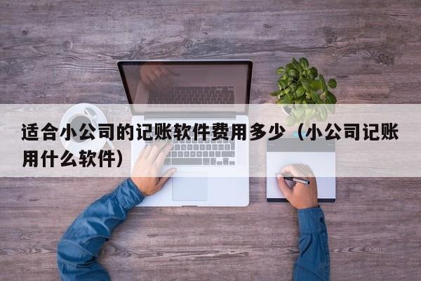 适合小公司的记账软件费用多少（小公司记账用什么软件）