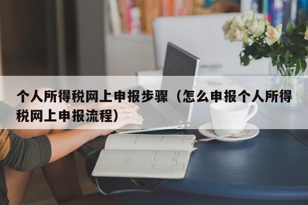 个人所得税网上申报步骤（怎么申报个人所得税网上申报流程）