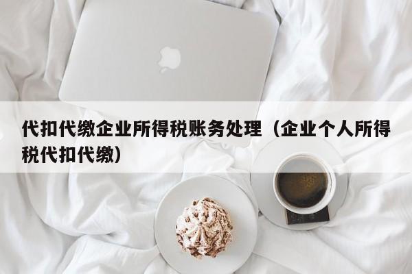 代扣代缴企业所得税账务处理（企业个人所得税代扣代缴）