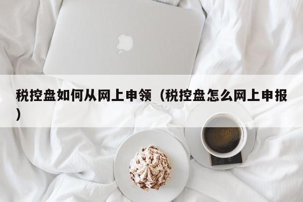 税控盘如何从网上申领（税控盘怎么网上申报）