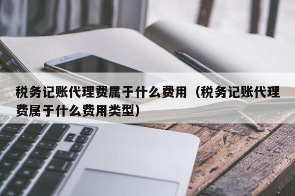 税务记账代理费属于什么费用（税务记账代理费属于什么费用类型）