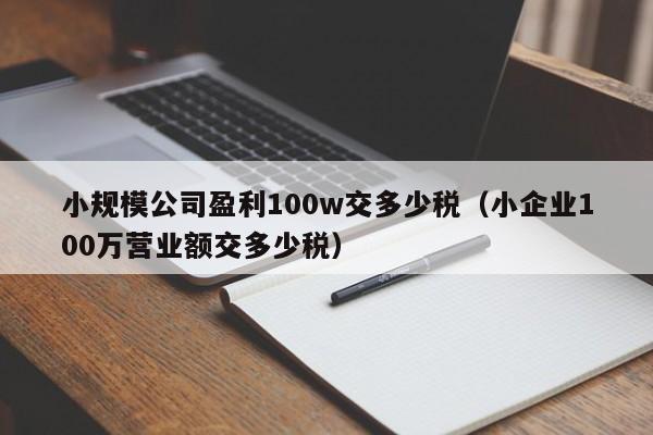 小规模公司盈利100w交多少税（小企业100万营业额交多少税）