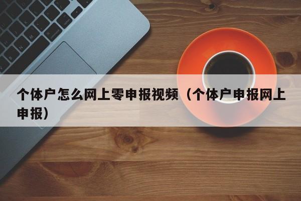 个体户怎么网上零申报视频（个体户申报网上申报）