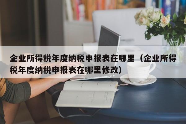 企业所得税年度纳税申报表在哪里（企业所得税年度纳税申报表在哪里修改）