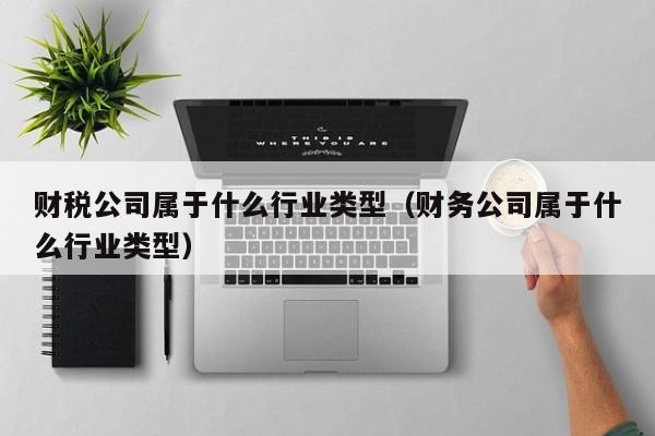 财税公司属于什么行业类型（财务公司属于什么行业类型）