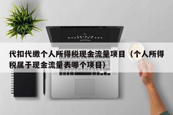 代扣代缴个人所得税现金流量项目（个人所得税属于现金流量表哪个项目）