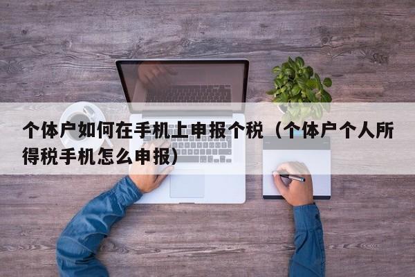 个体户如何在手机上申报个税（个体户个人所得税手机怎么申报）