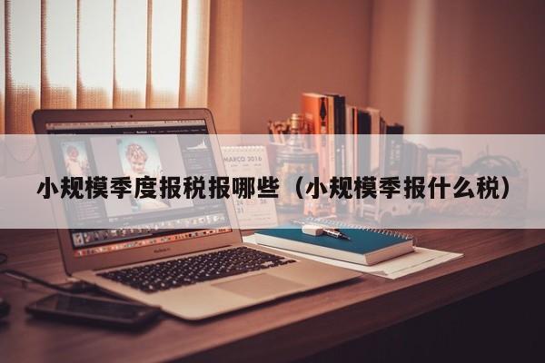 小规模季度报税报哪些（小规模季报什么税）