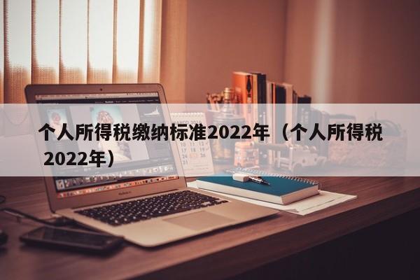 个人所得税缴纳标准2022年（个人所得税 2022年）