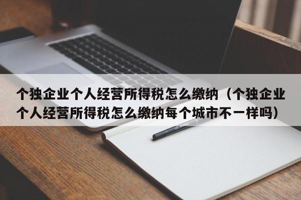 个独企业个人经营所得税怎么缴纳（个独企业个人经营所得税怎么缴纳每个城市不一样吗）