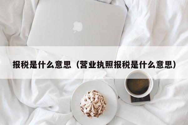 报税是什么意思（营业执照报税是什么意思）