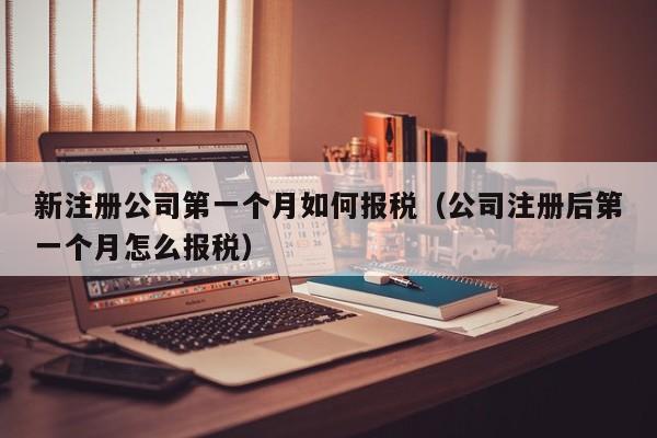 新注册公司第一个月如何报税（公司注册后第一个月怎么报税）