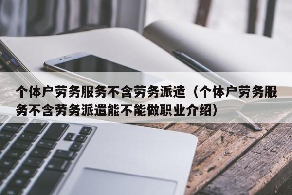 个体户劳务服务不含劳务派遣（个体户劳务服务不含劳务派遣能不能做职业介绍）