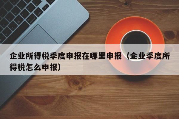 企业所得税季度申报在哪里申报（企业季度所得税怎么申报）