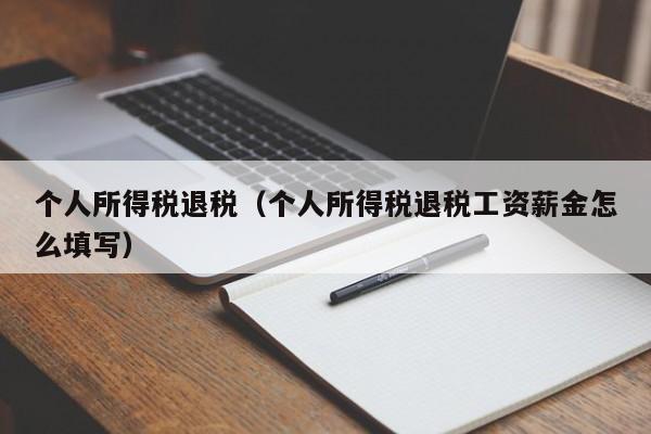 个人所得税退税（个人所得税退税工资薪金怎么填写）