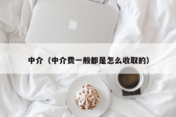 中介（中介费一般都是怎么收取的）