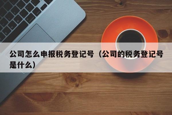 公司怎么申报税务登记号（公司的税务登记号是什么）