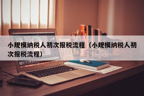 小规模纳税人初次报税流程（小规模纳税人初次报税流程）