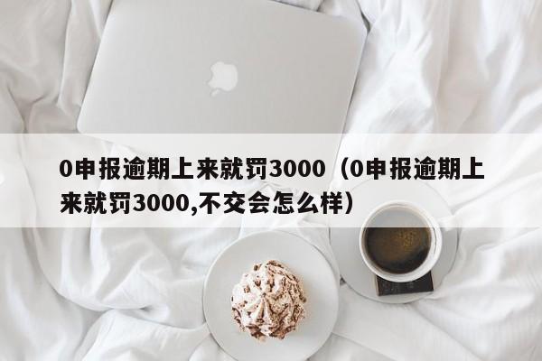 0申报逾期上来就罚3000（0申报逾期上来就罚3000,不交会怎么样）