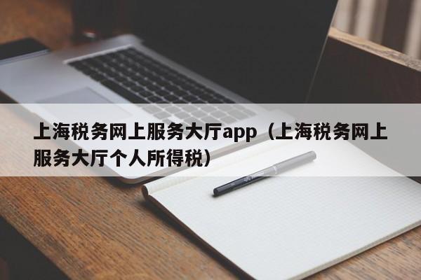 上海税务网上服务大厅app（上海税务网上服务大厅个人所得税）