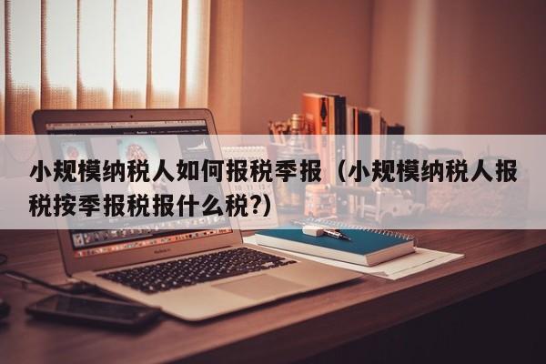 小规模纳税人如何报税季报（小规模纳税人报税按季报税报什么税?）