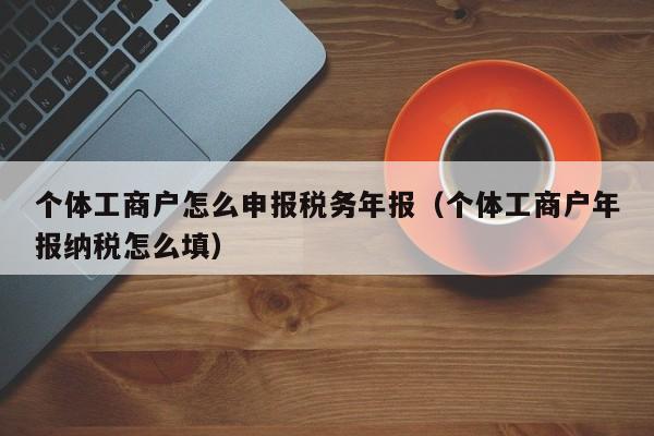 个体工商户怎么申报税务年报（个体工商户年报纳税怎么填）