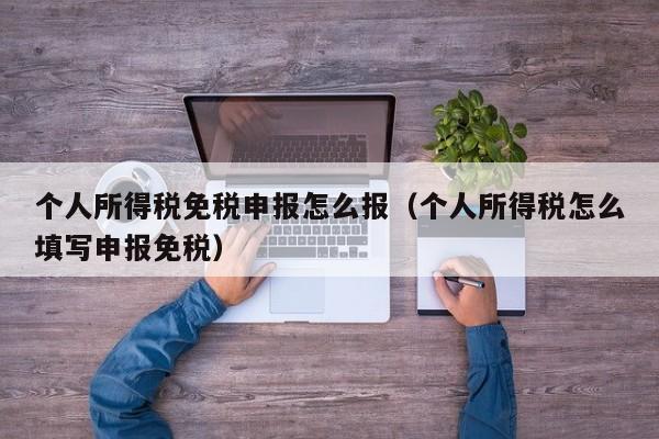 个人所得税免税申报怎么报（个人所得税怎么填写申报免税）