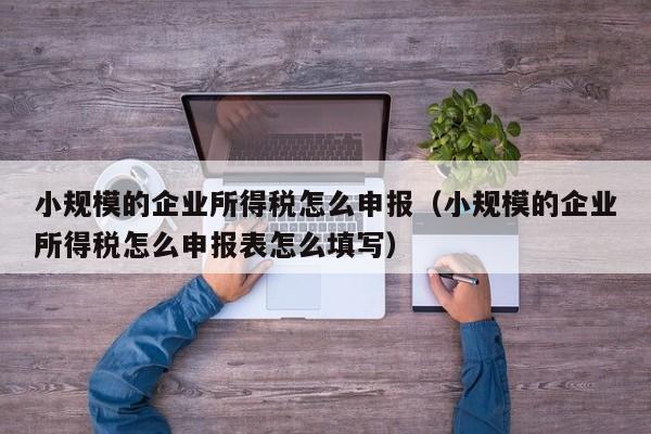 小规模的企业所得税怎么申报（小规模的企业所得税怎么申报表怎么填写）