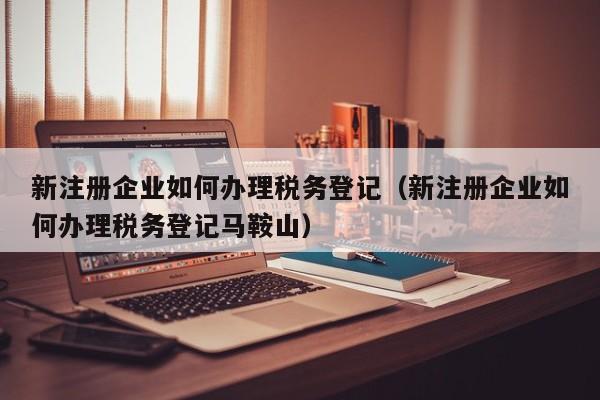 新注册企业如何办理税务登记（新注册企业如何办理税务登记马鞍山）