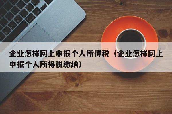 企业怎样网上申报个人所得税（企业怎样网上申报个人所得税缴纳）