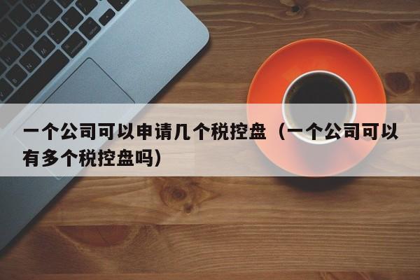 一个公司可以申请几个税控盘（一个公司可以有多个税控盘吗）