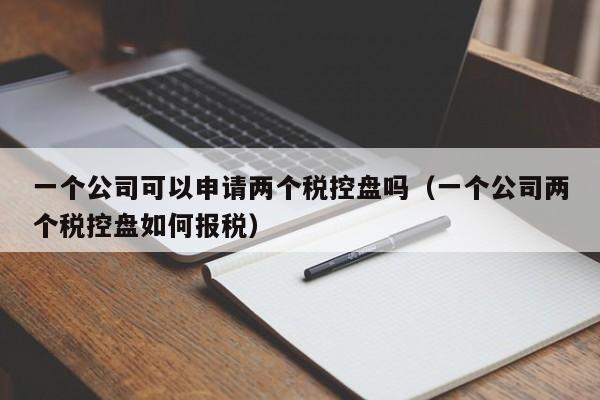 一个公司可以申请两个税控盘吗（一个公司两个税控盘如何报税）