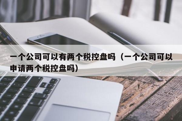 一个公司可以有两个税控盘吗（一个公司可以申请两个税控盘吗）