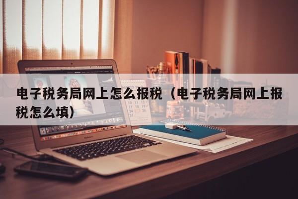 电子税务局网上怎么报税（电子税务局网上报税怎么填）