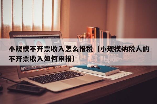 小规模不开票收入怎么报税（小规模纳税人的不开票收入如何申报）