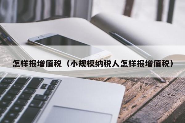 怎样报增值税（小规模纳税人怎样报增值税）