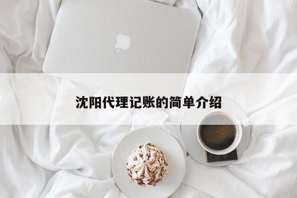 沈阳代理记账的简单介绍