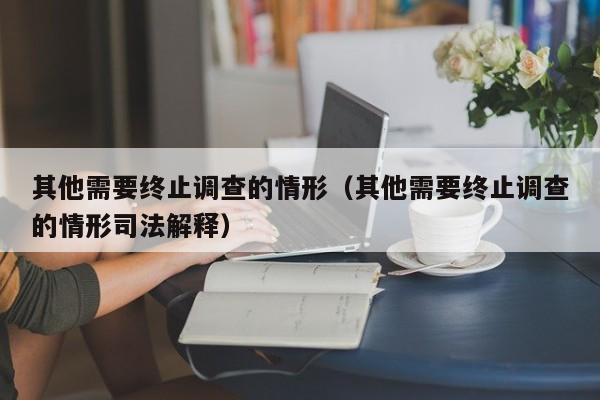 其他需要终止调查的情形（其他需要终止调查的情形司法解释）