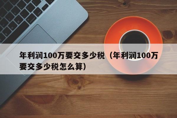 年利润100万要交多少税（年利润100万要交多少税怎么算）