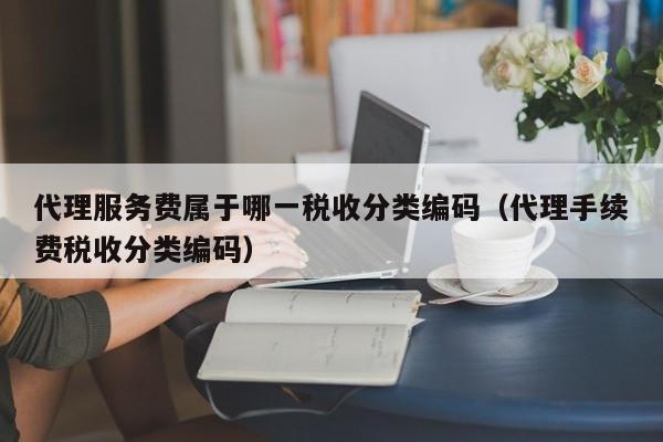 代理服务费属于哪一税收分类编码（代理手续费税收分类编码）