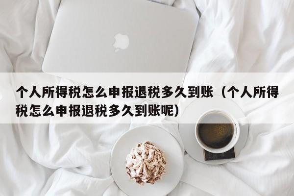 个人所得税怎么申报退税多久到账（个人所得税怎么申报退税多久到账呢）