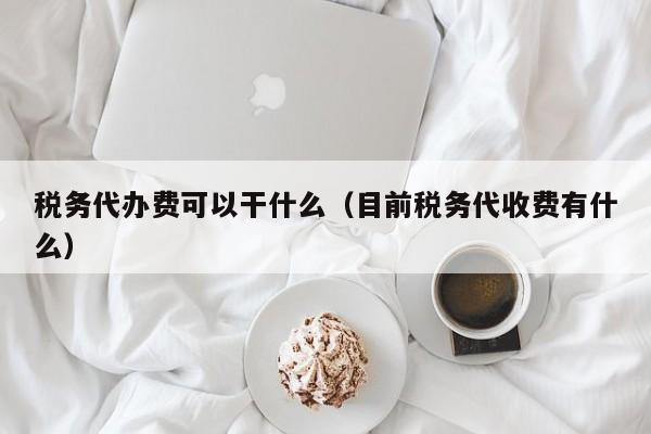 税务代办费可以干什么（目前税务代收费有什么）