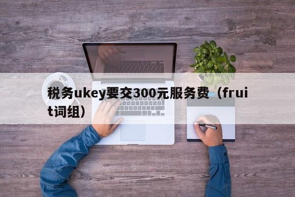 税务ukey要交300元服务费（fruit词组）