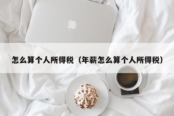 怎么算个人所得税（年薪怎么算个人所得税）