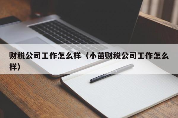 财税公司工作怎么样（小苗财税公司工作怎么样）