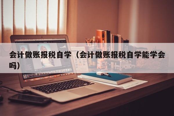 会计做账报税自学（会计做账报税自学能学会吗）