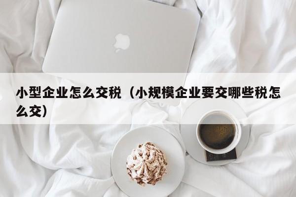 小型企业怎么交税（小规模企业要交哪些税怎么交）