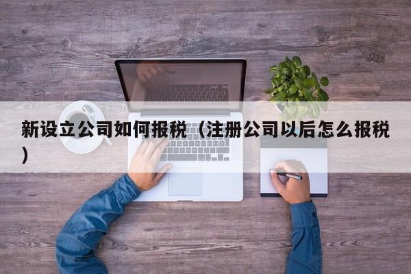 新设立公司如何报税（注册公司以后怎么报税）