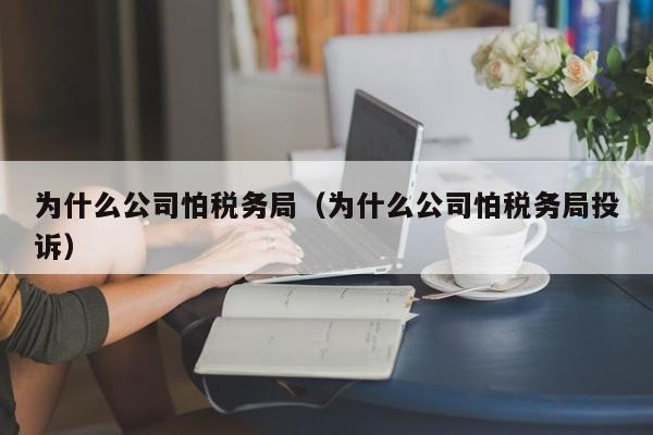 为什么公司怕税务局（为什么公司怕税务局投诉）