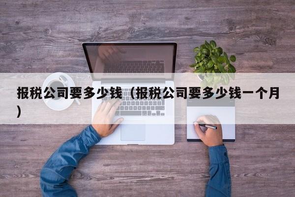 报税公司要多少钱（报税公司要多少钱一个月）